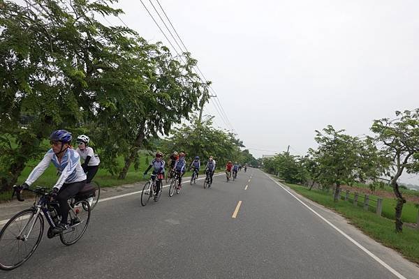 DSC02493 (800x533).jpg