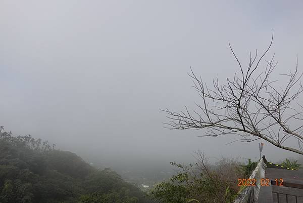 DSC09466.JPG