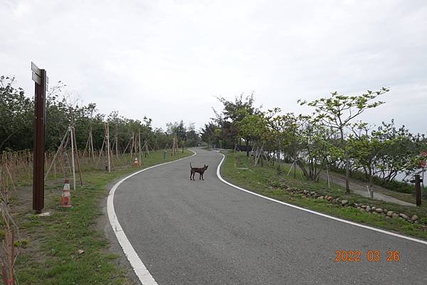 DSC09895.JPG