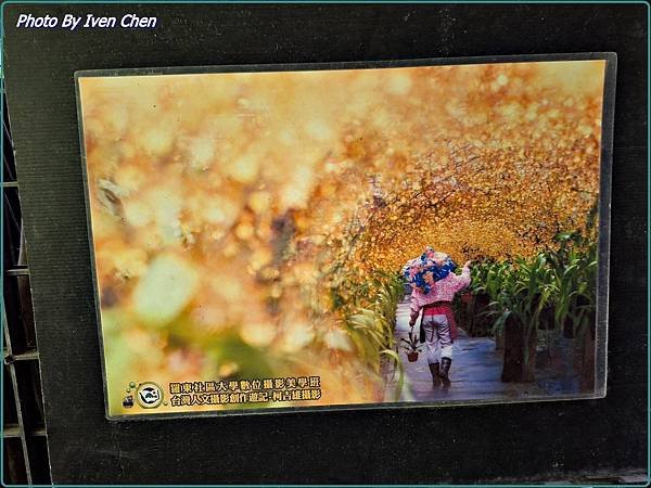《宜蘭室內景點》宜蘭一日遊之『金雙甡花卉農場』 Ivenの窩