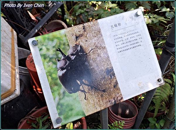 《宜蘭室內景點》宜蘭一日遊之『金雙甡花卉農場』 Ivenの窩