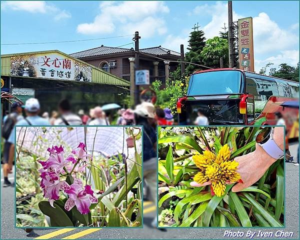 《宜蘭室內景點》宜蘭一日遊之金雙甡花卉農場/拈花惹草俱樂部/