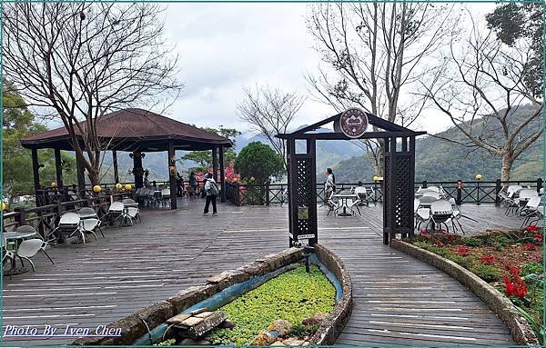 《桃園復興鄉景觀咖啡廳》角板山賞花的日子，青年活動中心比雅山