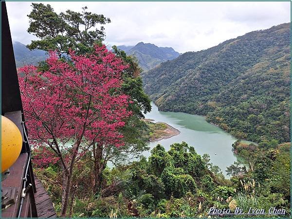 《桃園復興鄉景觀咖啡廳》角板山賞花的日子，青年活動中心比雅山