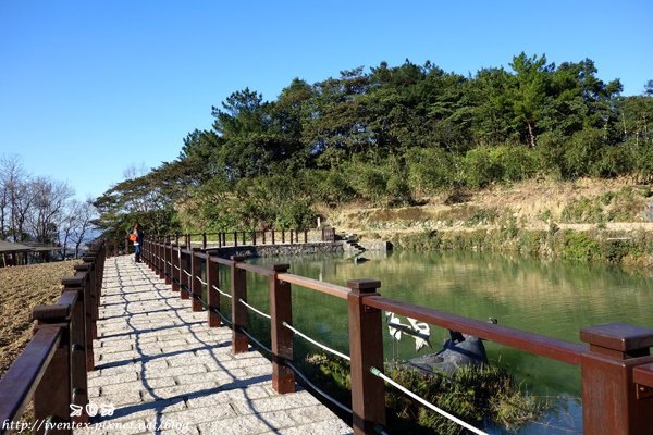 03_貓空樟樹步道