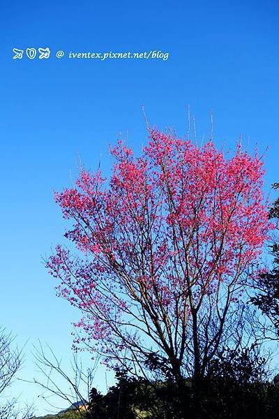 14_貓空