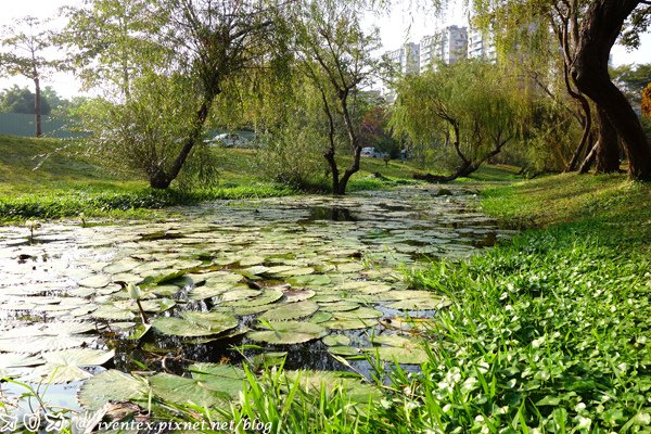 14_台南巴克禮公園