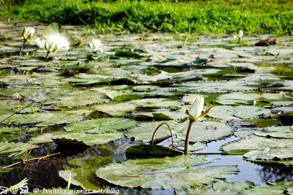 13_台南巴克禮公園