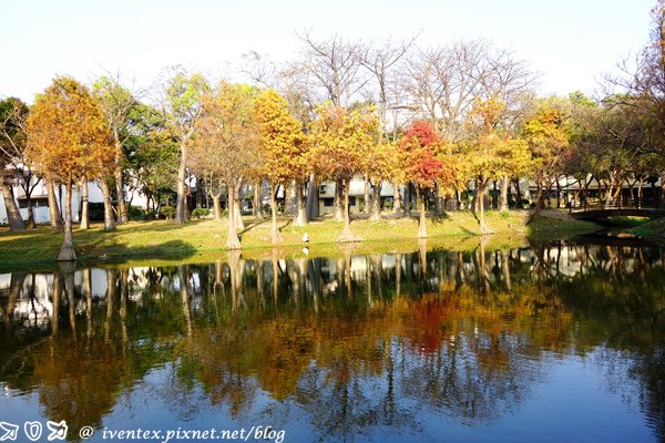 17_台南巴克禮公園