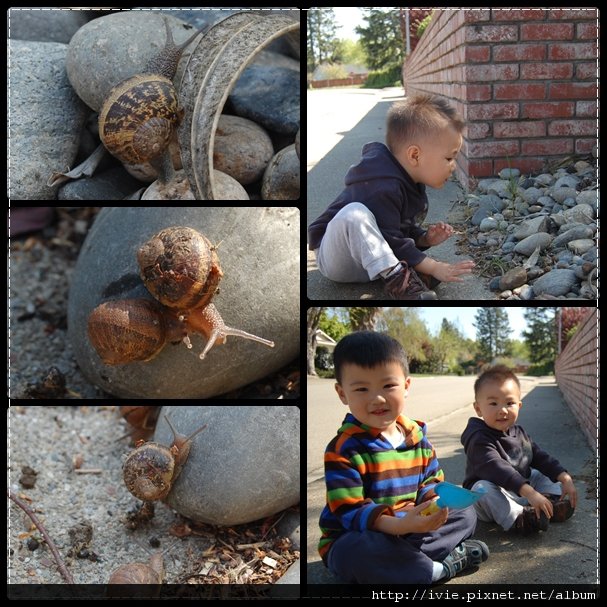 bio_snail.jpg