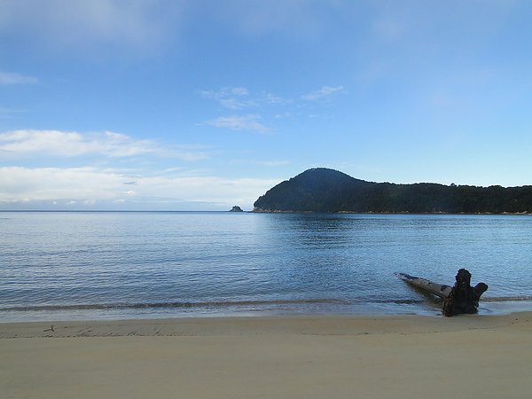 nz0916