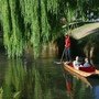 PuntingOnTheAvon.jpg