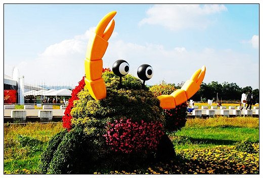 新社花海節