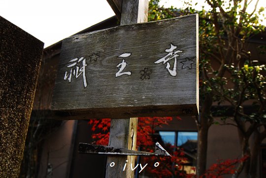 二尊院