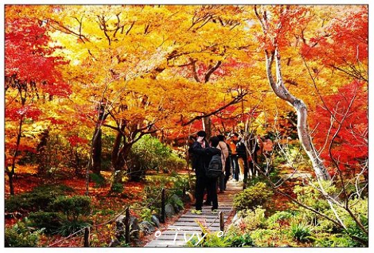 寶筐院