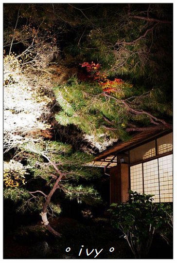 知恩院