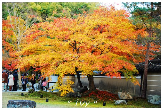 高台寺