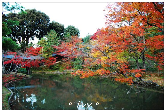 高台寺