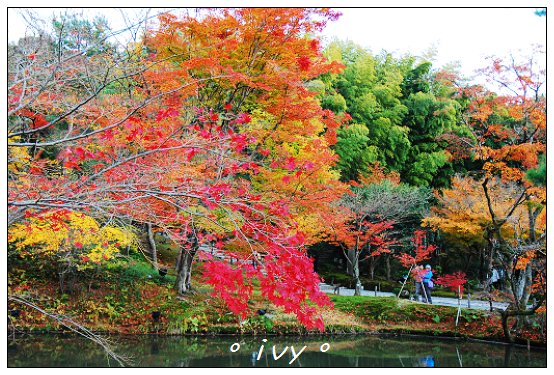 高台寺