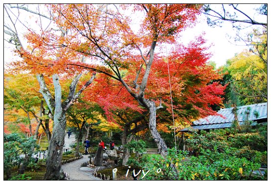 高台寺