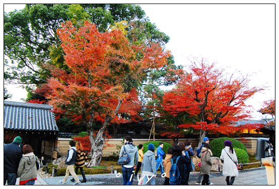 高台寺