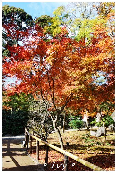 北野天滿宮