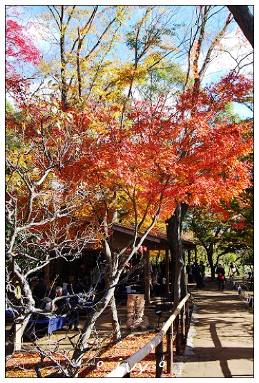 北野天滿宮