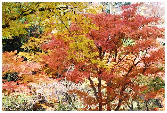 北野天滿宮