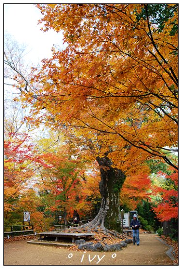 北野天滿宮