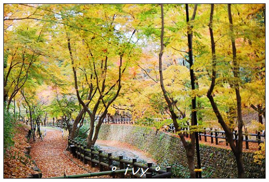 北野天滿宮