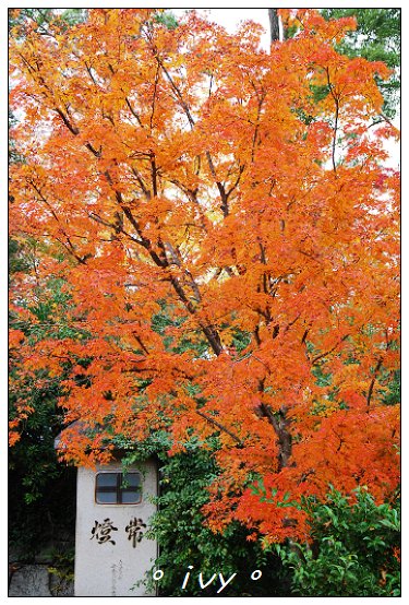 北野天滿宮