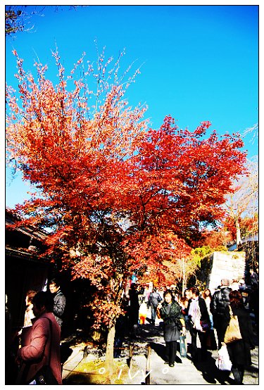 大原