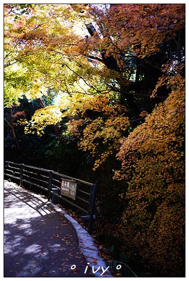 大原