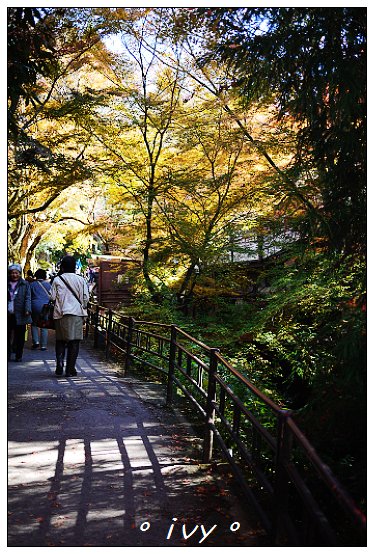 大原