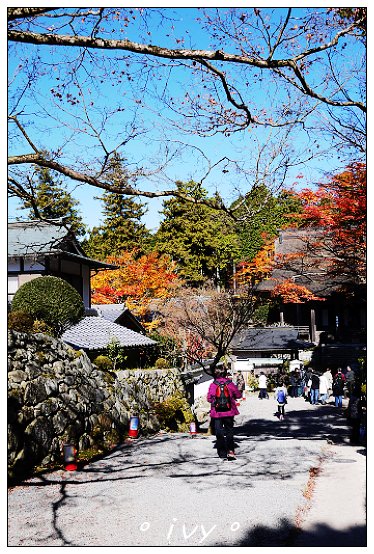 大原
