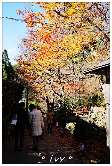 大原