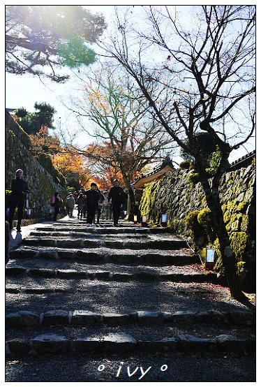 大原