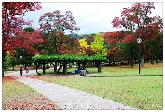 奈良公園
