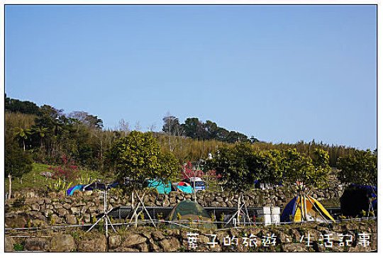 大湖採草莓