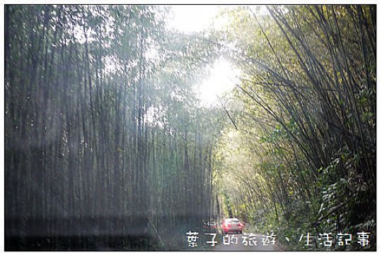 大湖採草莓