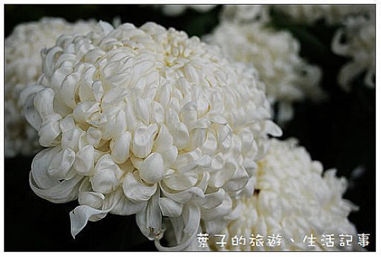 士林官邸