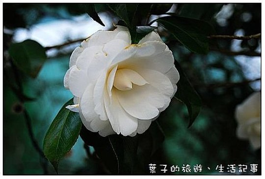 武陵