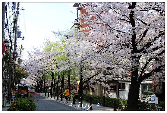 木屋町高瀨川