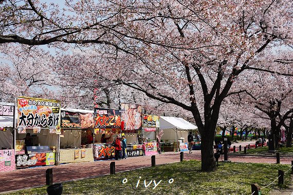 万博公園