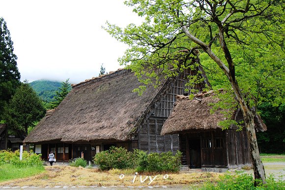 白川鄉民家園