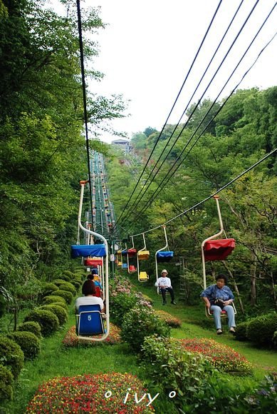 天橋立傘松公園