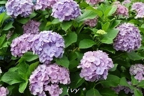 P1460920
