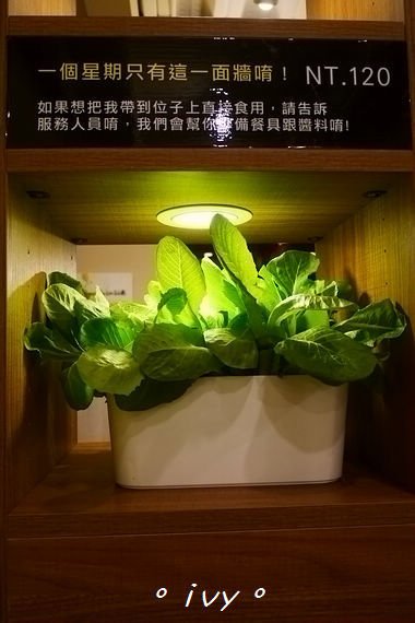 P1010073.jpg