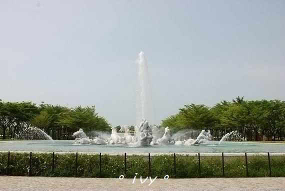 DSC_4824.jpg