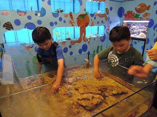 814柴魚館 (1).jpg